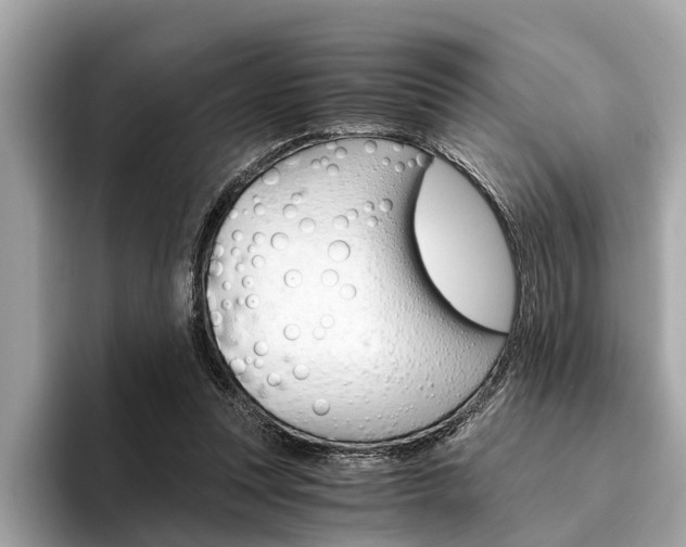 X0000094320351200711021117