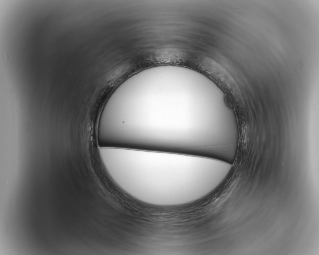 X0000094320356200711021117
