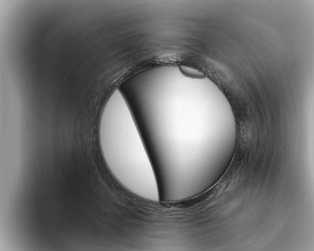 X0000094320364200711021117