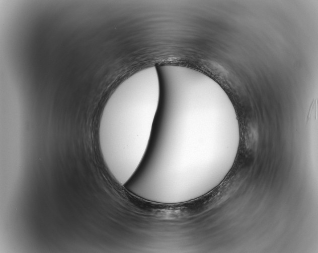 X0000094320366200711021117
