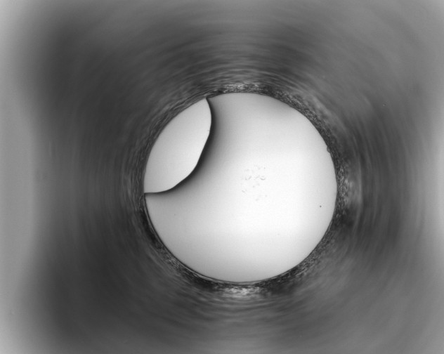 X0000094320375200711021117
