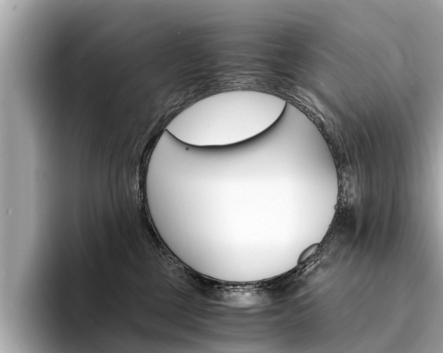 X0000094320377200711021117