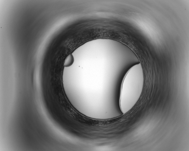 X0000094320383200711021117