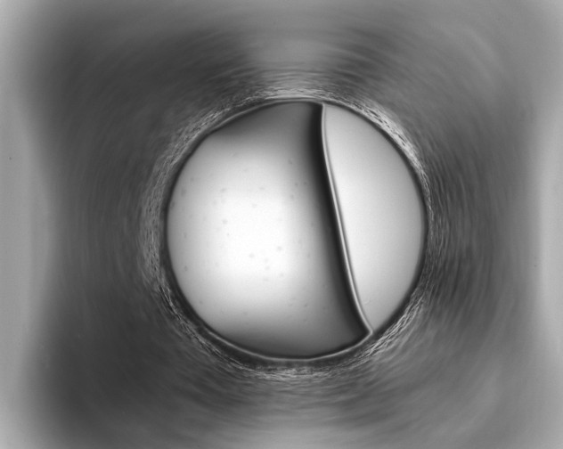 X0000094320385200711021117
