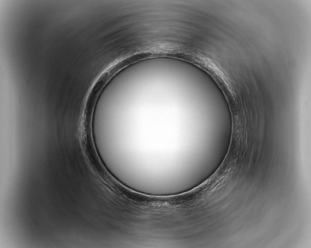 X0000094320392200711021116