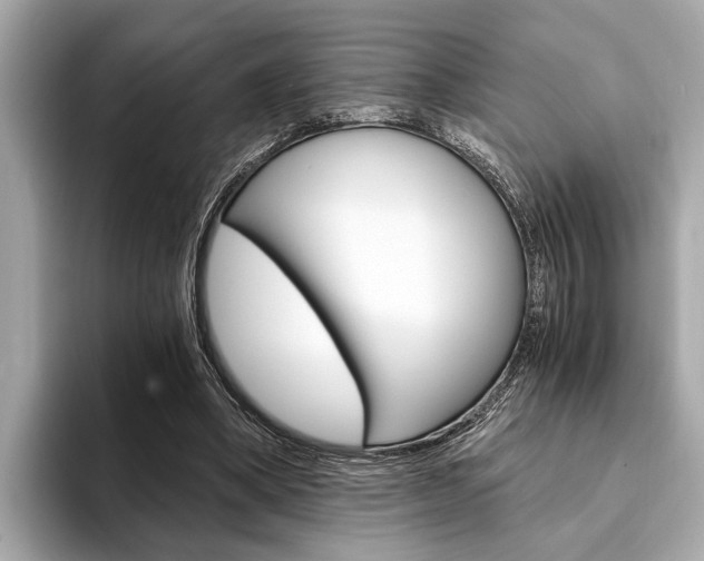 X0000094320394200711021116