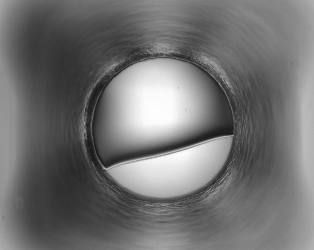 X0000094320395200711021116