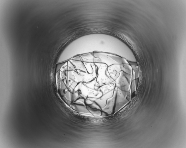 X0000094320405200711021116
