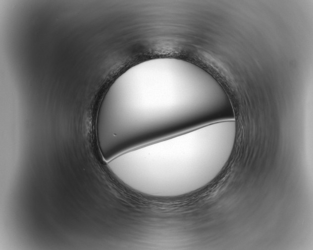 X0000094320407200711021116