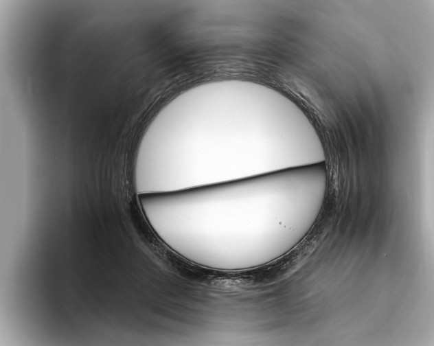 X0000094320408200711021116