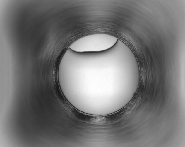 X0000094320410200711021116