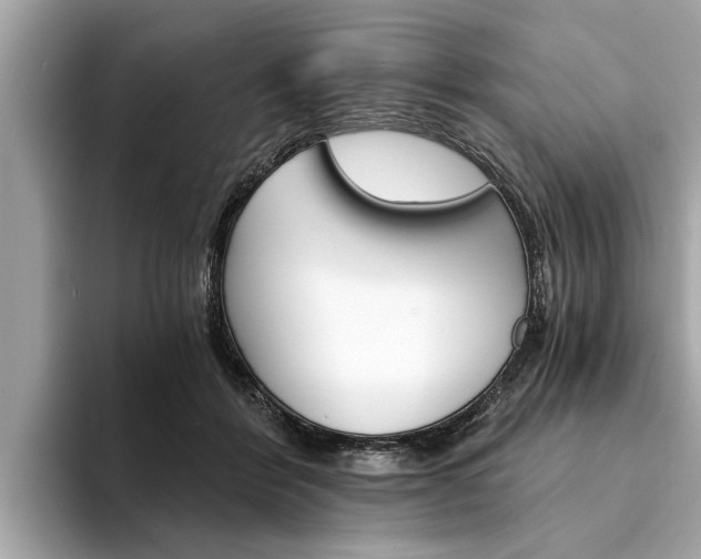 X0000094320412200711021116