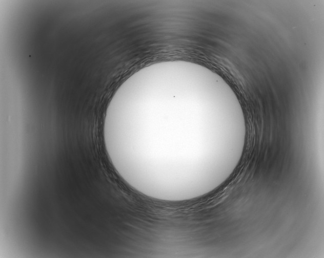 X0000094320416200711021116