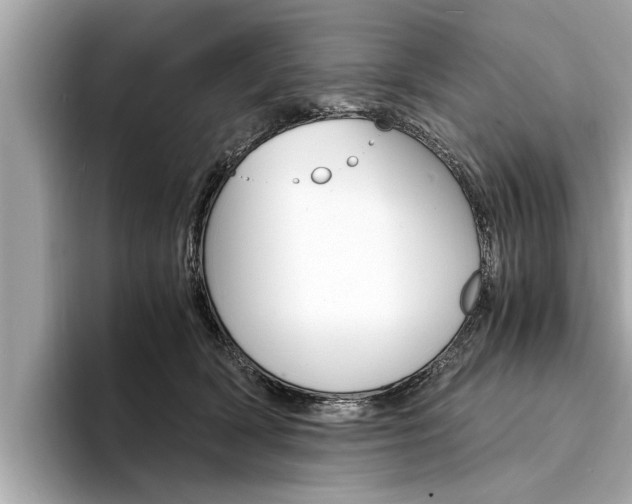X0000094320418200711021116