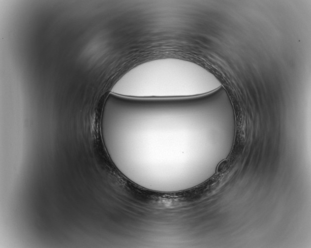 X0000094320420200711021116