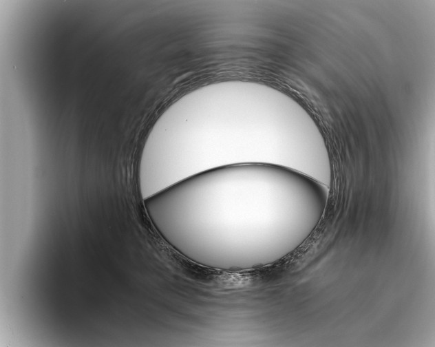 X0000094320421200711021116