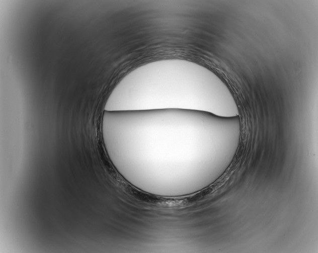X0000094320422200711021116