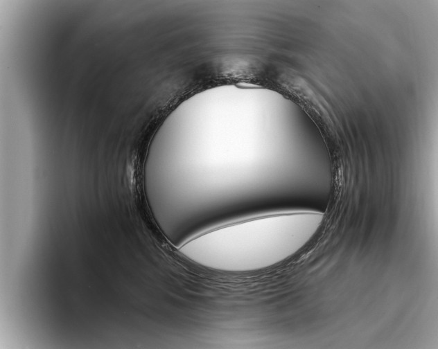 X0000094320424200711021116