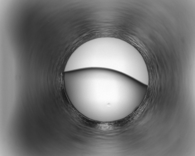 X0000094320425200711021116