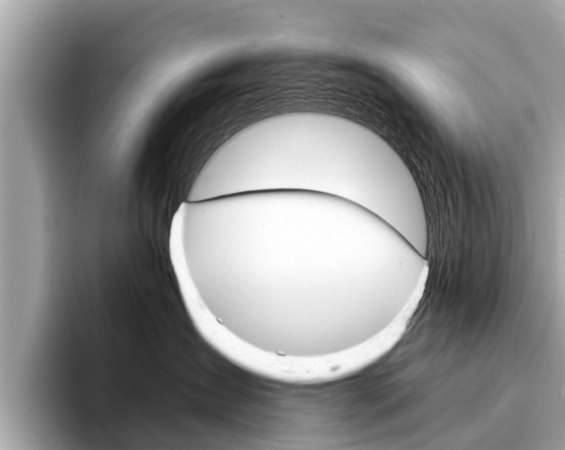 X0000094320431200711021116