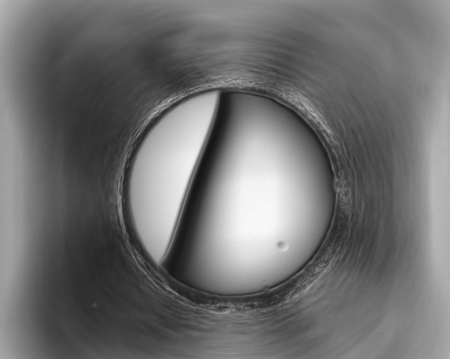 X0000094320434200711021115