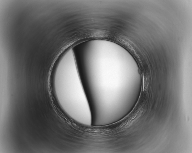 X0000094320435200711021115