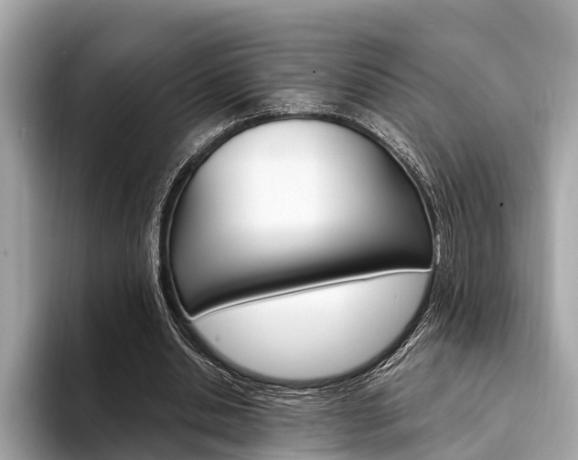 X0000094320438200711021115
