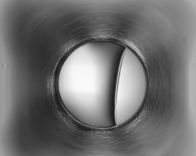 X0000094320439200711021116