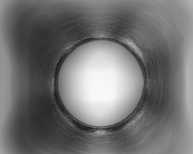 X0000094320441200711021116