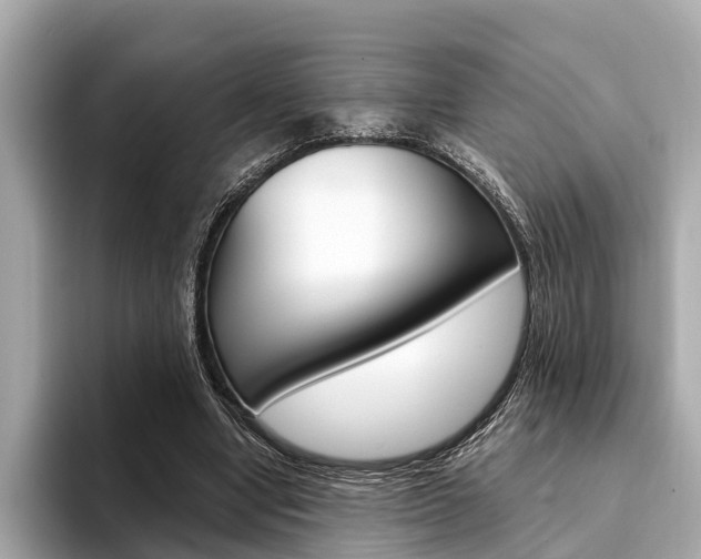 X0000094320442200711021116