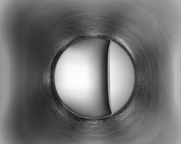 X0000094320443200711021116