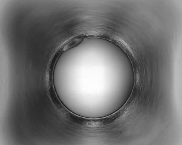 X0000094320444200711021116