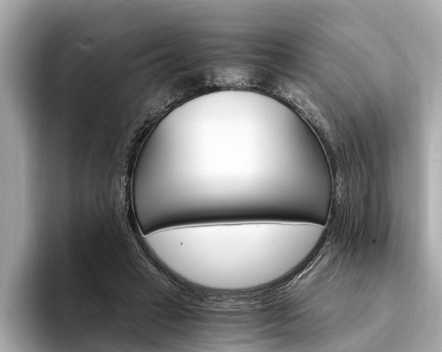 X0000094320449200711021116