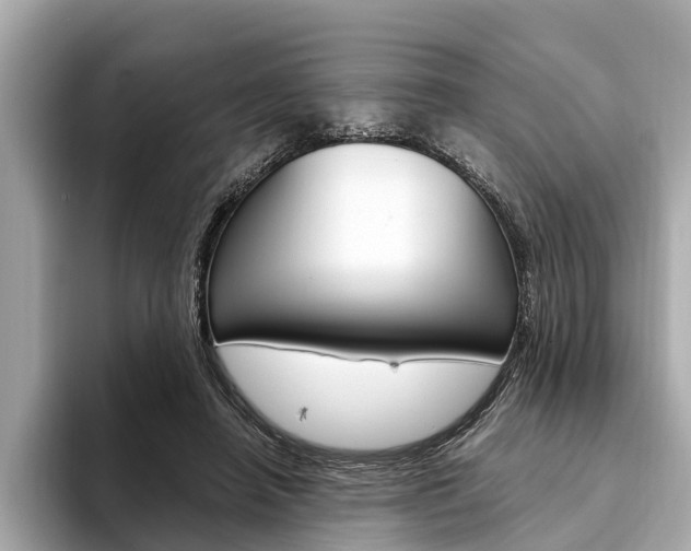 X0000094320450200711021116