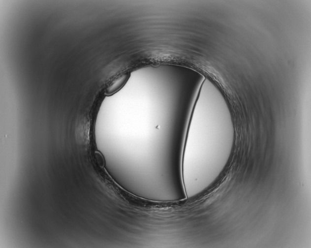 X0000094320454200711021116