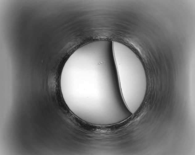 X0000094320455200711021116