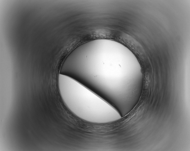 X0000094320457200711021116