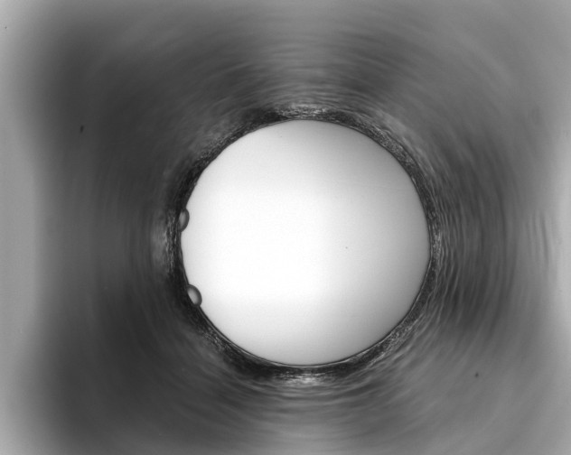 X0000094320460200711021116