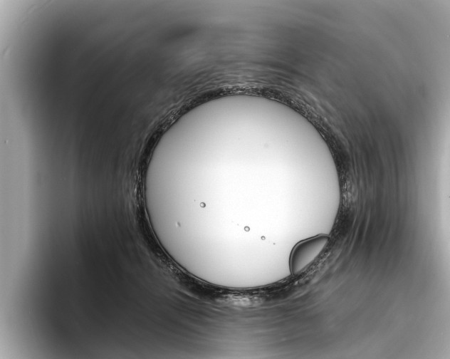 X0000094320464200711021116