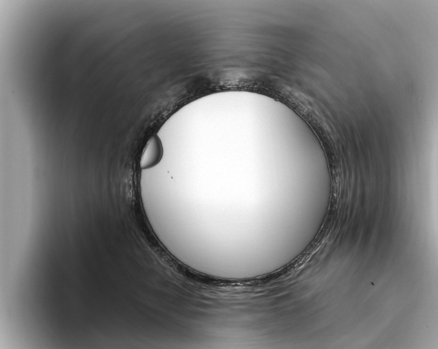 X0000094320470200711021116