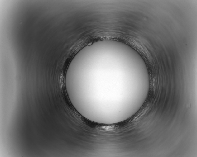 X0000094320478200711021116