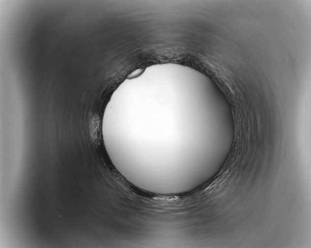 X0000094320480200711021116