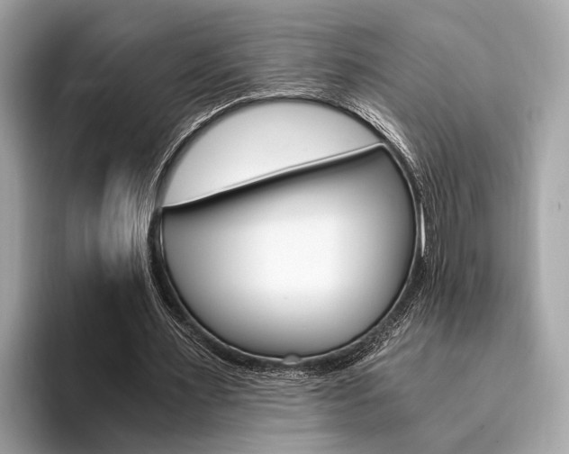 X0000094320483200711021115