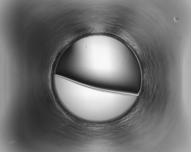 X0000094320485200711021115