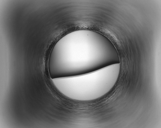 X0000094320496200711021115