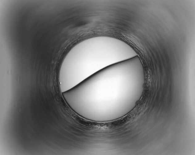 X0000094320502200711021115