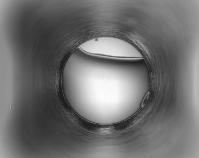 X0000094320505200711021115
