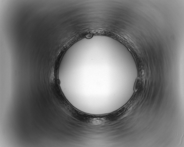 X0000094320508200711021115