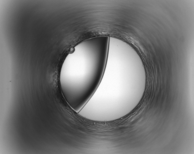 X0000094320509200711021115