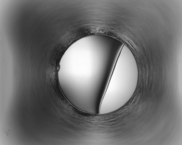 X0000094320513200711021115